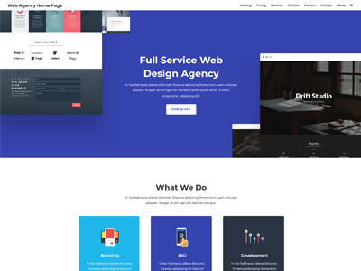 Web-Agency